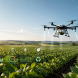 Crop Protection